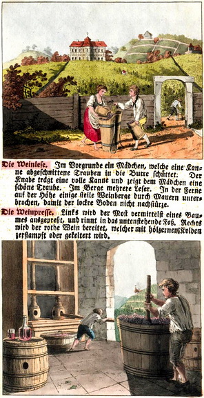 1804 Der Gesellschafter für die Jugend auf ländlichen Spaziergängen_resize.jpg