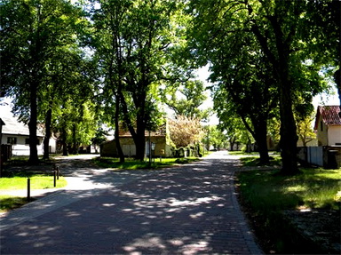 dorfaue_resize.jpg