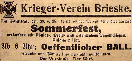 Sommerfest Brieske_resize.jpg