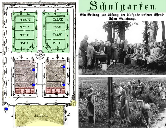 Schulgarten 1920_resize.jpg