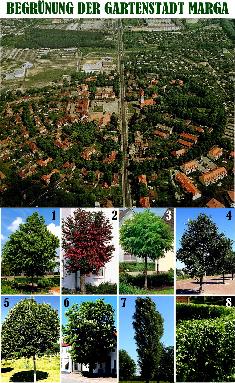 Baum-Collection_resize.jpg