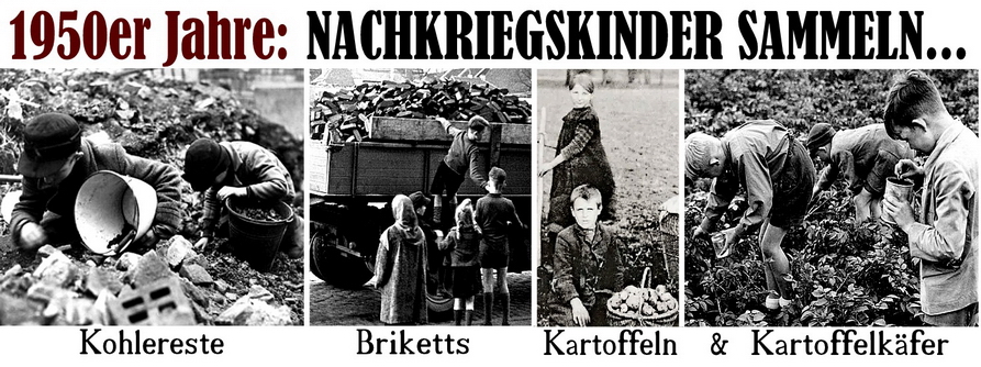 Kinder sammeln_resize.jpg