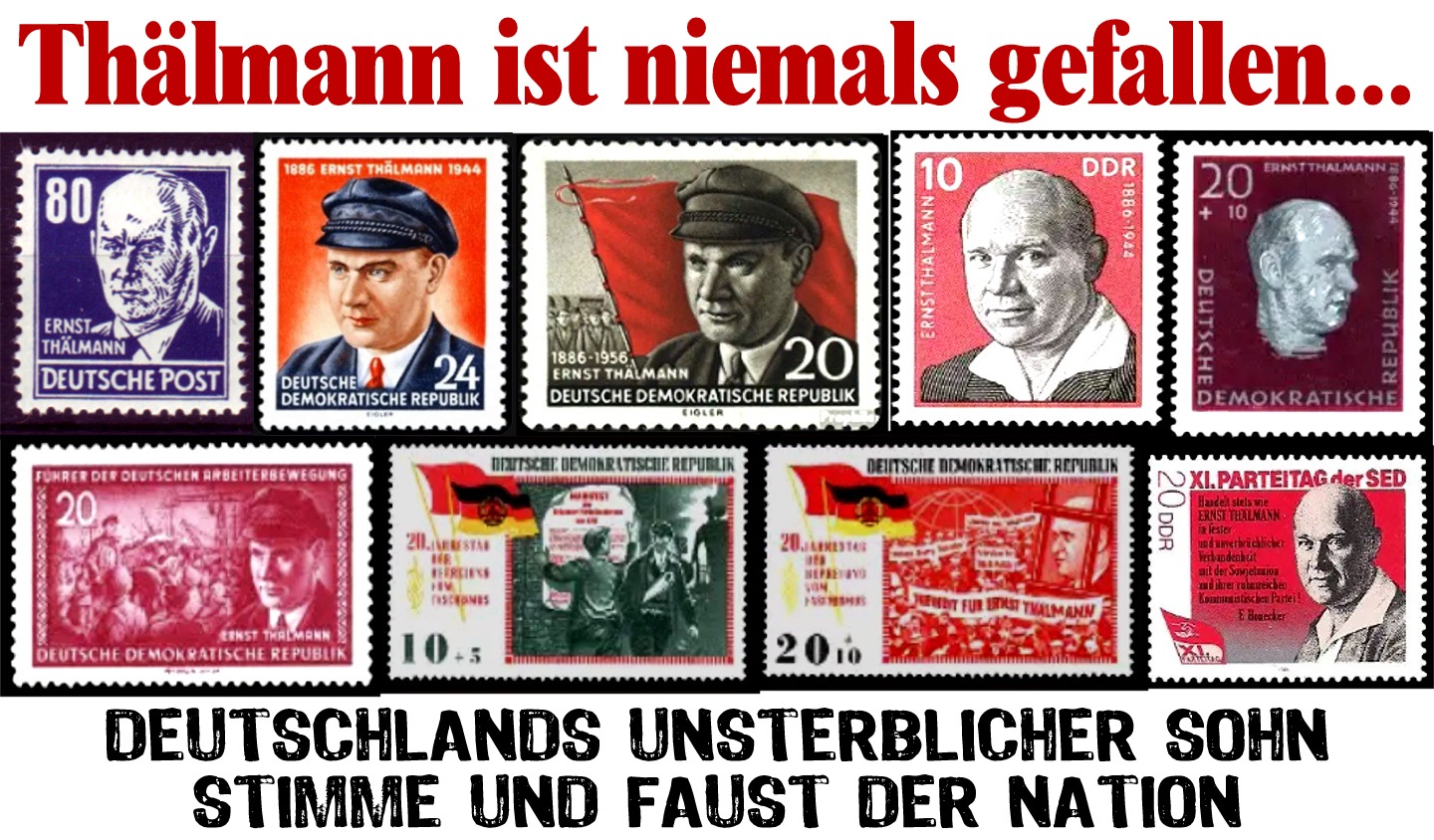 (1) niemals gefallen.jpg